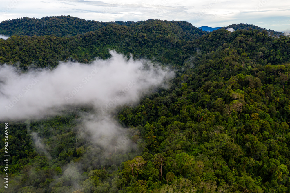 Aerial drone view of clouds and mist forming over a tropical rainforest after a recent rain storm