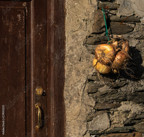 Onions hanging out to dry