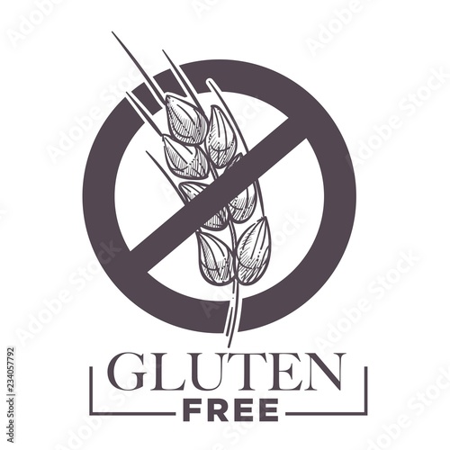Gluten free products, poster with wheat vector.