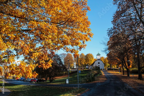 Autumn photo