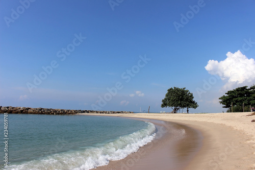 Fototapeta Naklejka Na Ścianę i Meble -  Gentle ocean wave hits the shore of a clean curved sandy tropical beach with the only person in view silhouetted under a big tree