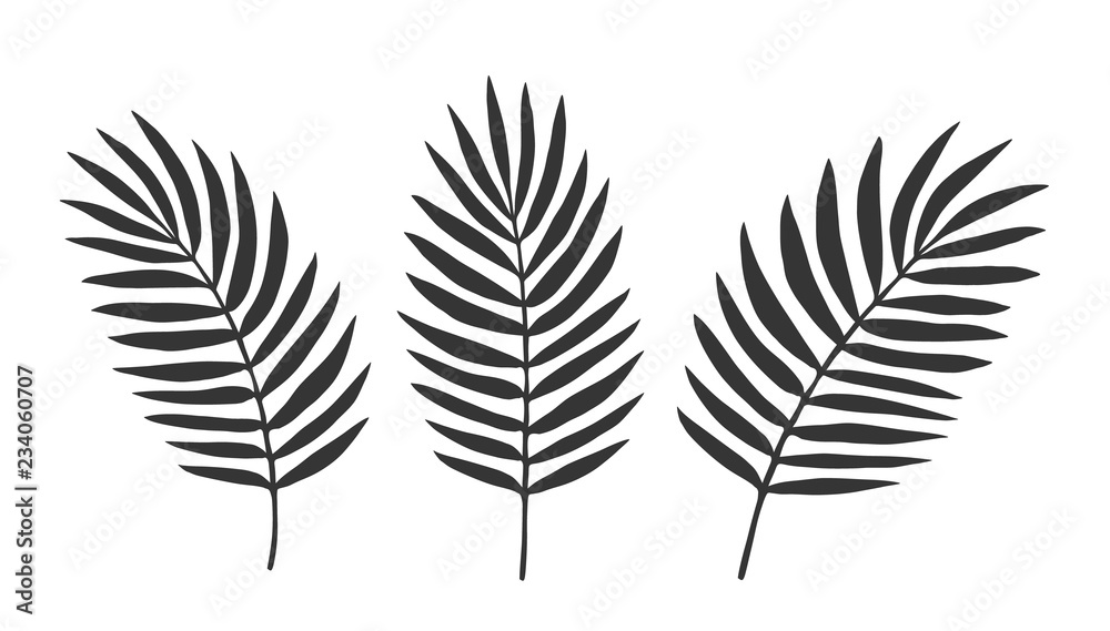 Set of Leaves. Vector. Silhouette Set of Leaves. Vector. Silhouette