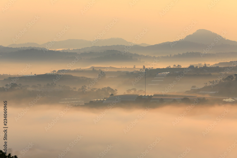 Misty valley in morning sunlight