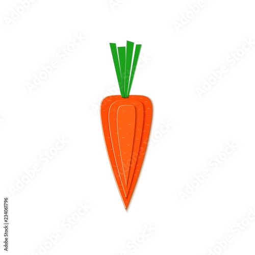 Paper cut orange carrot. Vector paper cut design in the form of ripe carrot for design of food packaging. Vector illustration. Paper applique art style vegitable. Origami concept.