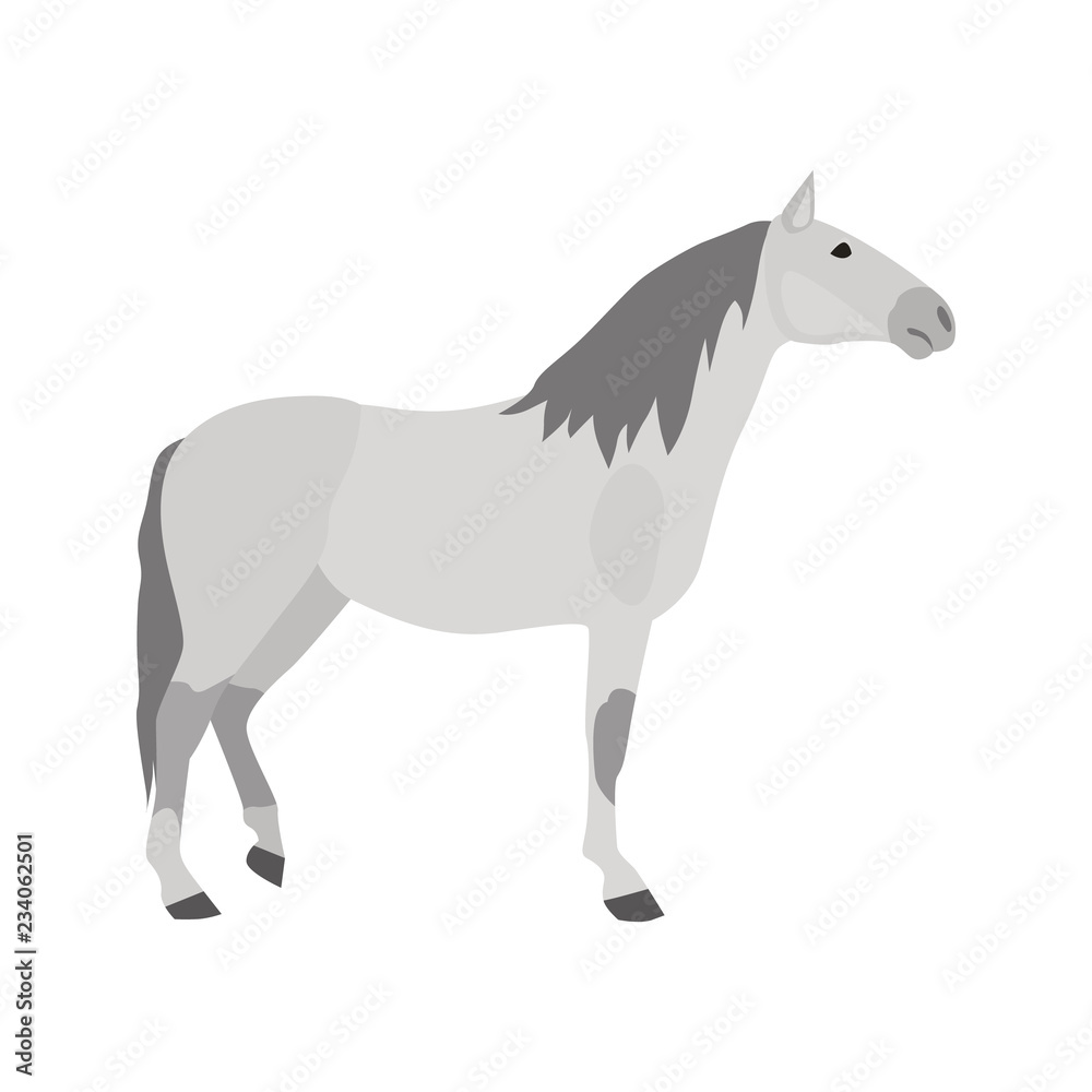 Obraz premium Lusitano breed color vector icon. Flat design