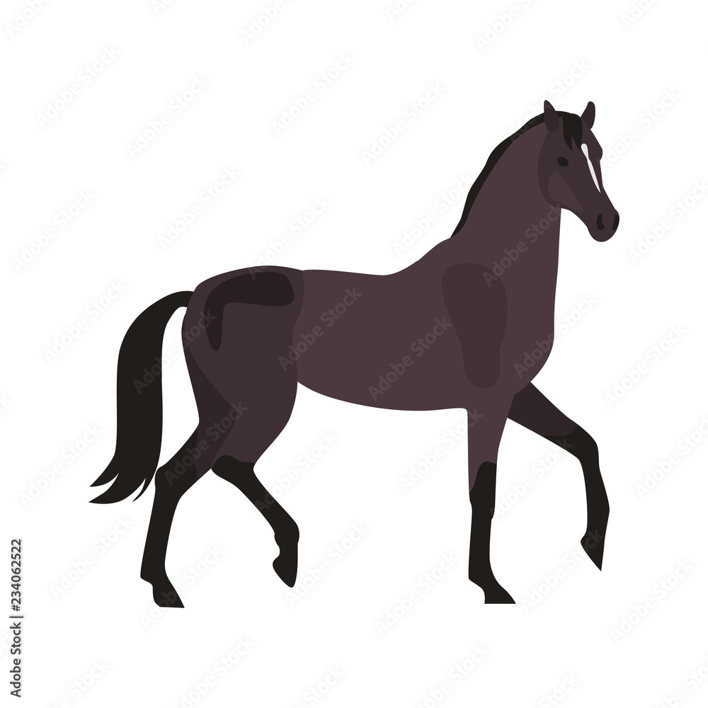 Black forest horse color vector icon. Flat design