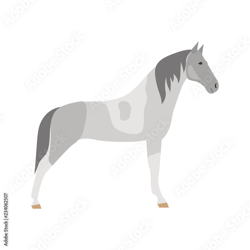 Teennessee horse color vector icon. Flat design