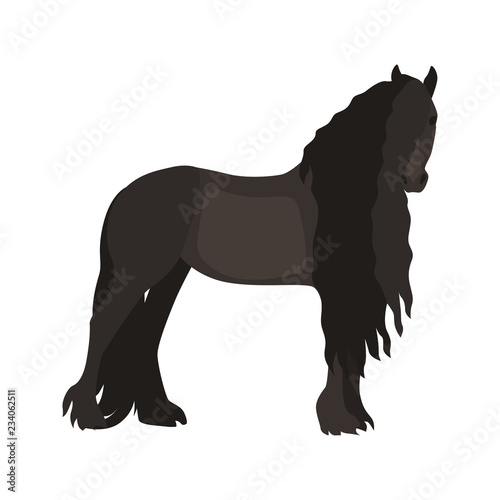 Friesian horse color vector icon. Flat design