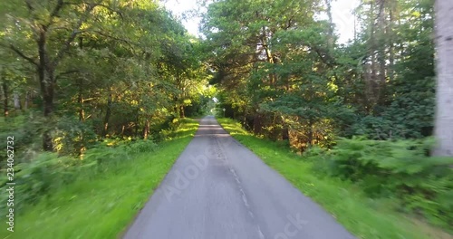 Slow Drone Shot of a Scottish Forest with Sunlight Breaking Through
