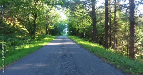 Slow Drone Shot of a Scottish Forest with Sunlight Breaking Through