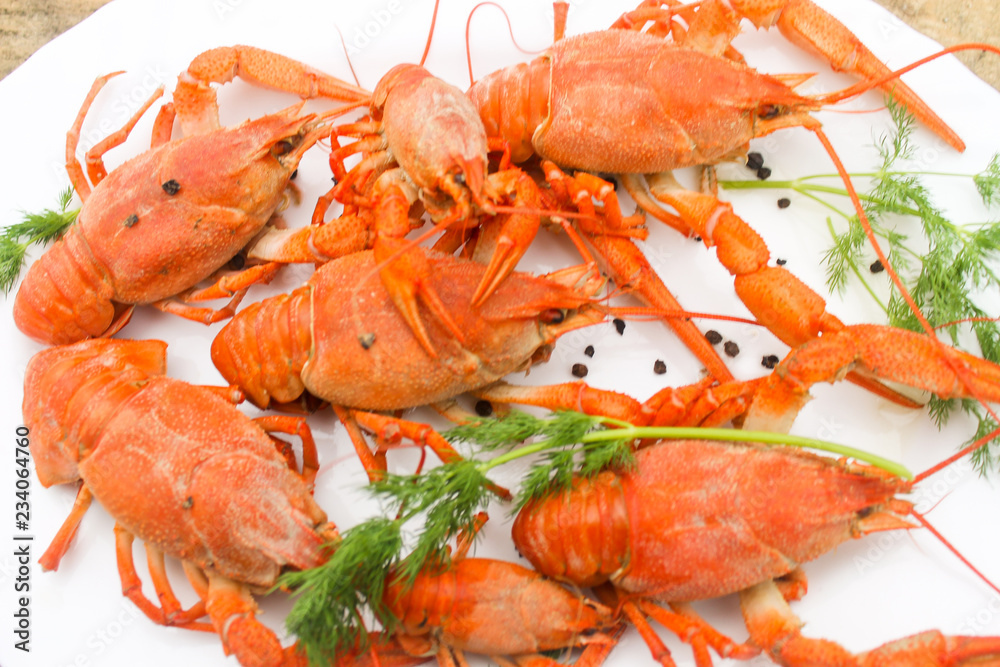 Cooked juicy red crayfish in a plate on a wooden table with a dill Cooked juicy red crayfish in a plate on a wooden table with a dill