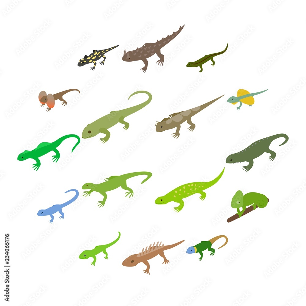 Lizard icons set in isometric 3d style on a white background Lizard icons set in isometric 3d style on a white background