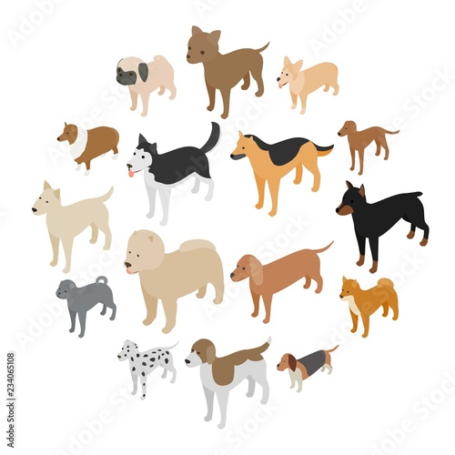 Dog icons set in isometric 3d style on a white background