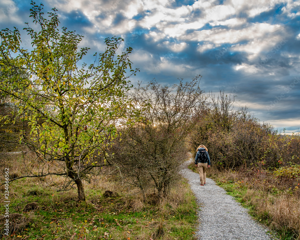 Fototapeta premium Wandern im Hainich Nationalpark