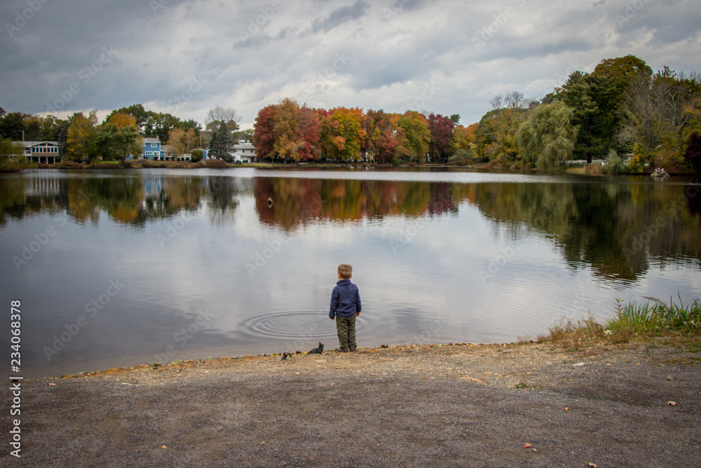 toddler boy looking at pond on a beautiful autumn day