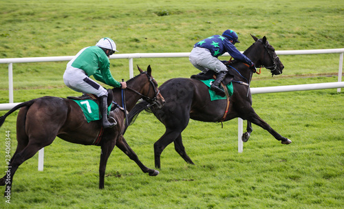 Two Race horses galloping for position