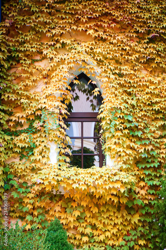 A beautiful box covered with leaves. Architecture, design. © Anna