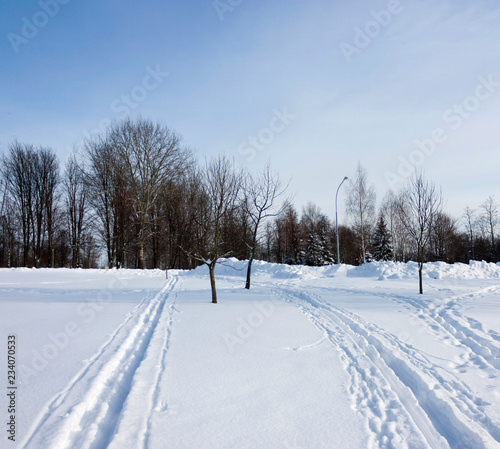Fototapeta Naklejka Na Ścianę i Meble -  Winter landscape in the park. Snow covered trees and morning ski run on white snow against a blue sky