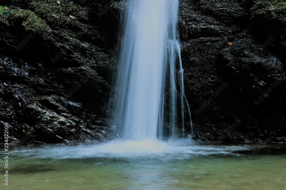 Fototapeta premium 滝の流れ