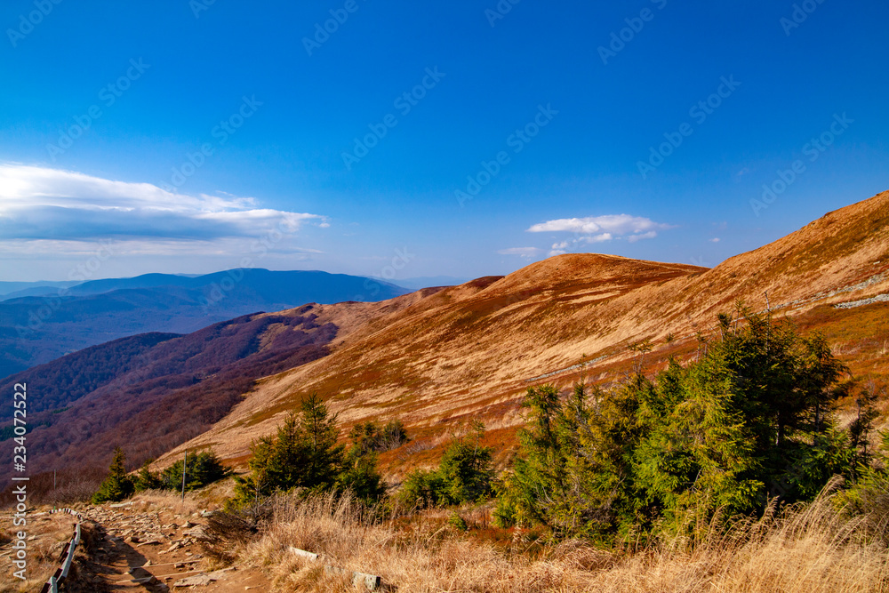 Obraz premium Landscape of autumnal peaks of the Carpathians.
