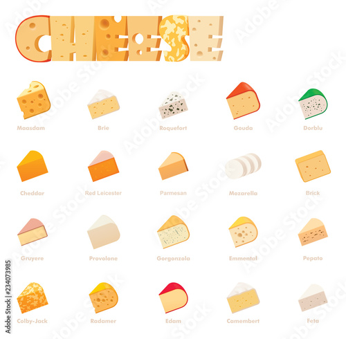 Vector cheese types icon set