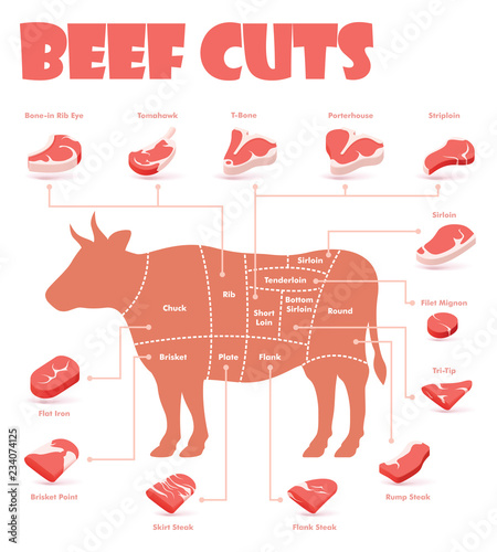 Vector beef cuts chart