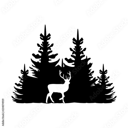 Deer on the background of the coniferous forest. 