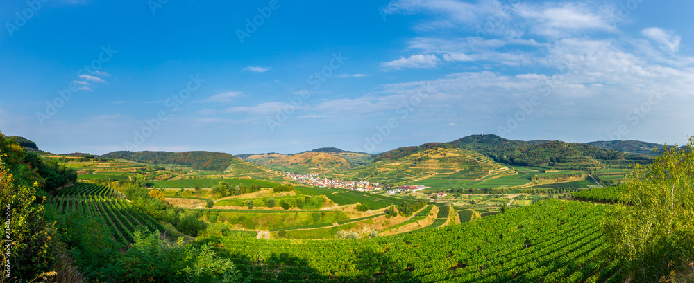 Germany, Oberbergen town producing high quality wine in Kaiserstuhl