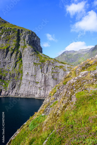 Natural mountain landscape at summer in Lofoten, Norway.