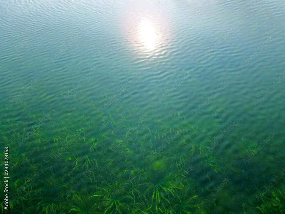 Fototapeta premium Transparent water surface through which is seen a texture of the bottom. Top view of the calm sea, lake, river, pond. Natural blue - green beautiful background image.