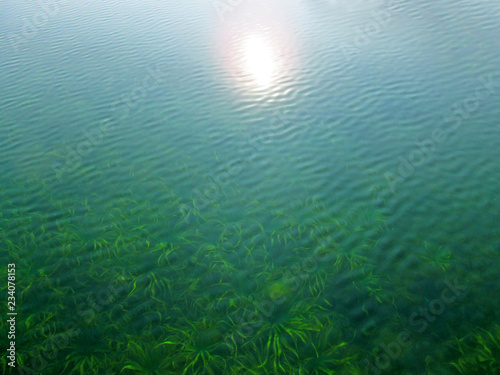 Transparent water surface through which is seen a texture of the bottom. Top view of the calm sea, lake, river, pond. Natural blue - green beautiful background image. © mivod