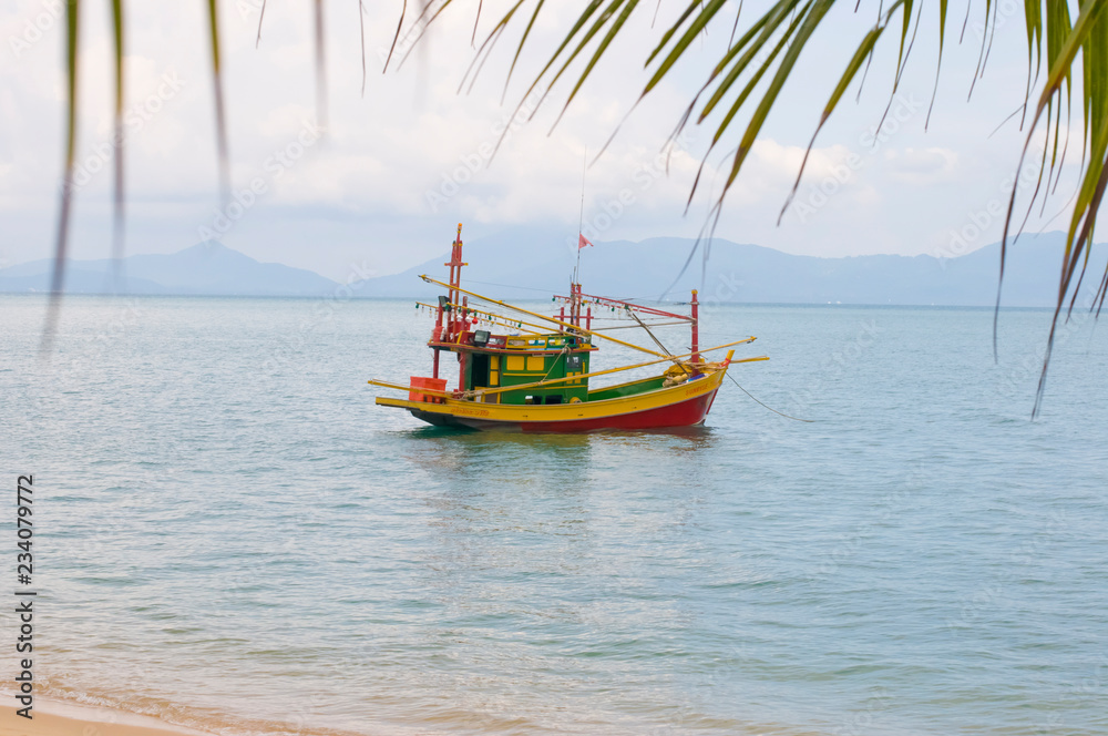 Sailing colorful boat in tropical water, View of small multicolored sailing boat in shallow water of tropical ocean shoreline with palm leaves above, Thailand