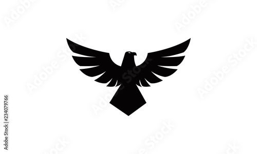 Photo silhouette of flying eagle