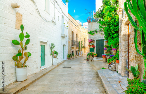 Scenic view of the street in Monopoli, Bari Province, Apulia, southern Italy.