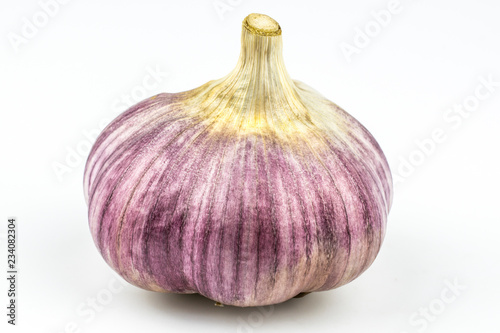 A Head of garlic isolated on a white background.