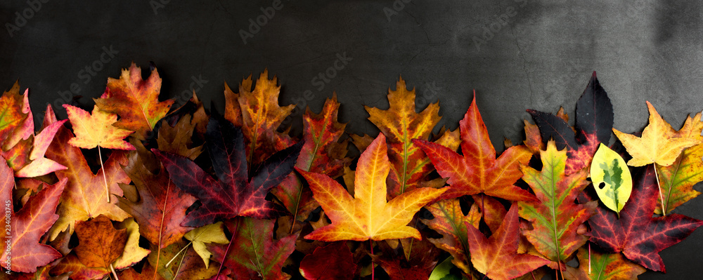 AUTUMN BACKGROUNDS, FRAME OR BORDER OF COLORFUL FALL LEAVES. HIGH ANGLE VIEW AGAINST DARK BACKGROUND.