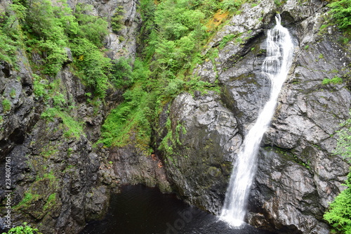waterfall in forest