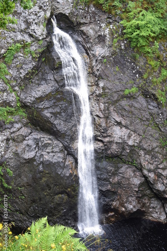 waterfall in forest