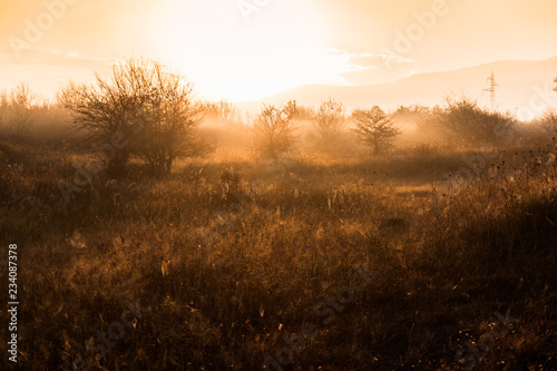  morning fog over the meadow © Emiliyan