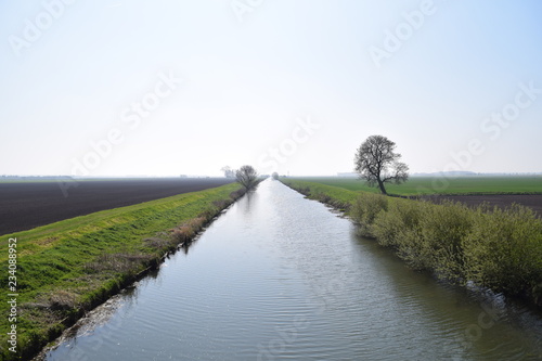 bridge over the river