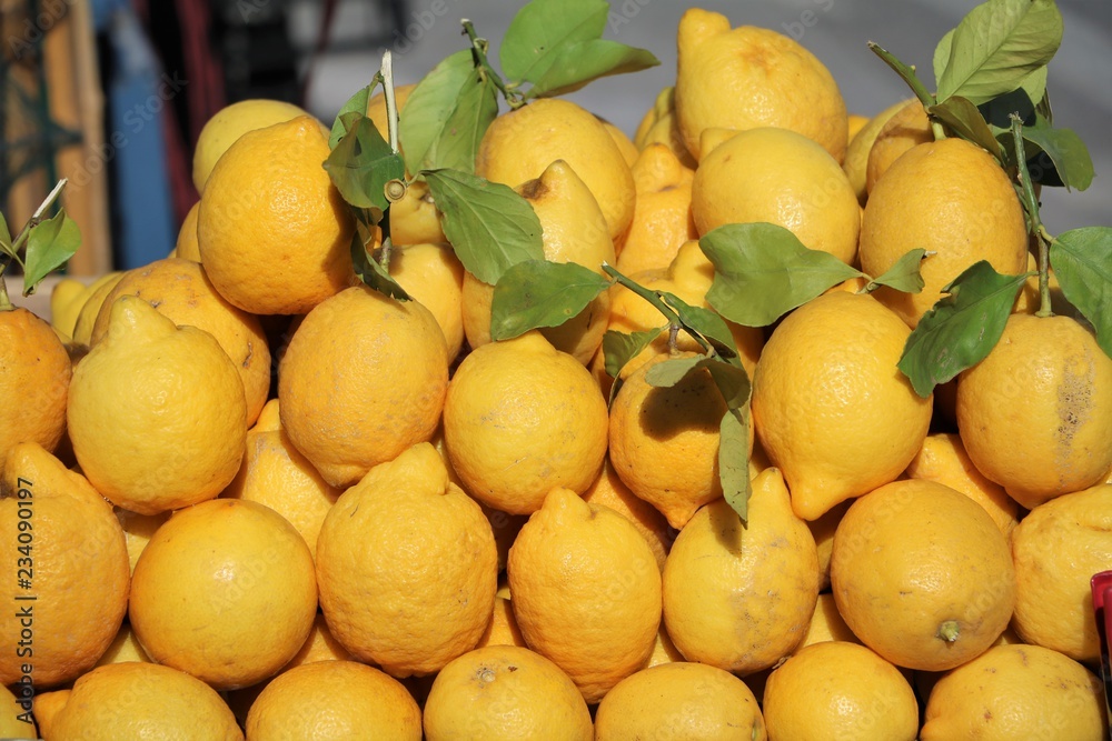Sun-ripened lemons in Syracuse, Sicily Italy