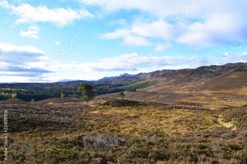 landscape with mountains and blue sky