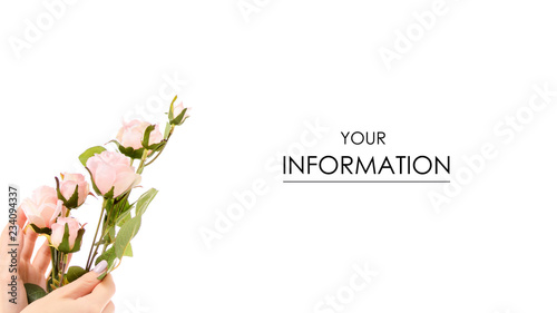 Female hand holding a branch of pink roses pattern on a white background isolation