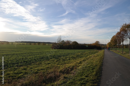 an empty road on a cold and sunny wintersday
