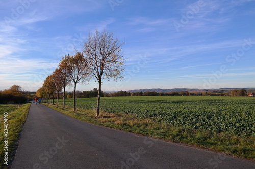 an empty road on a cold and sunny wintersday