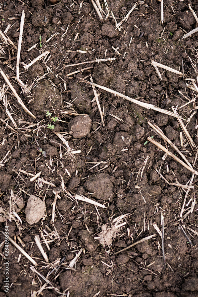 mud & grass mud & grass