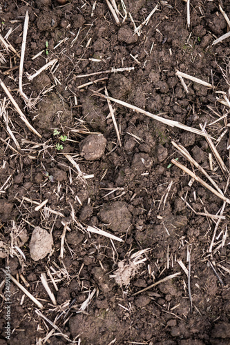 mud & grass