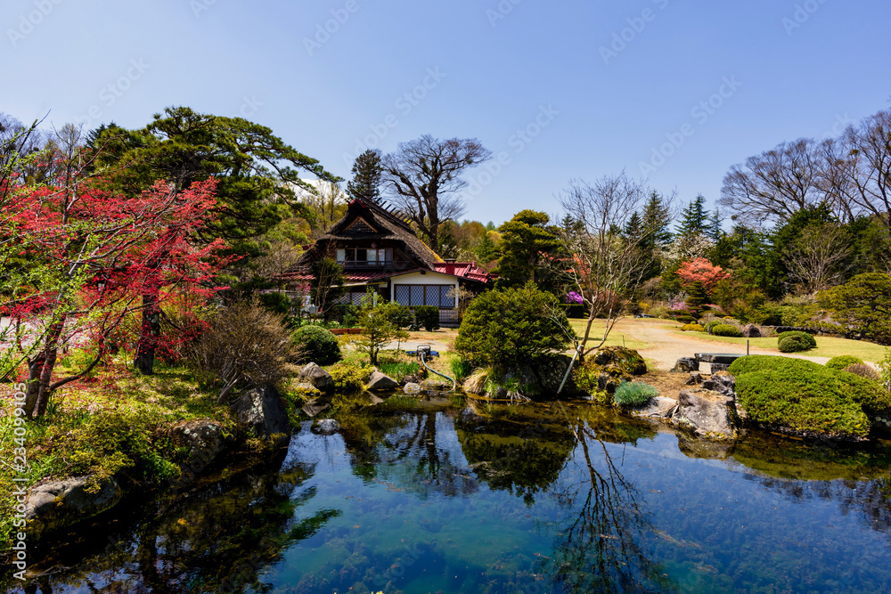 Traditional house with beautiful spring garden