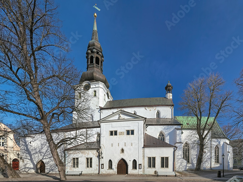Tableau sur toile Dome Church (Cathedral of Saint Mary the Virgin) on the Toompea Hill in Tallinn, Estonia