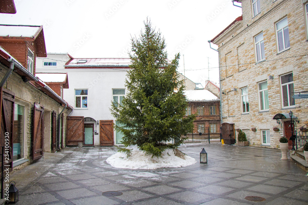 Christmas tree in the courtyard of the old town